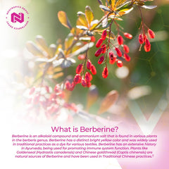 Supplement facts and ingredients panel for Berberine HCL + Silymarin