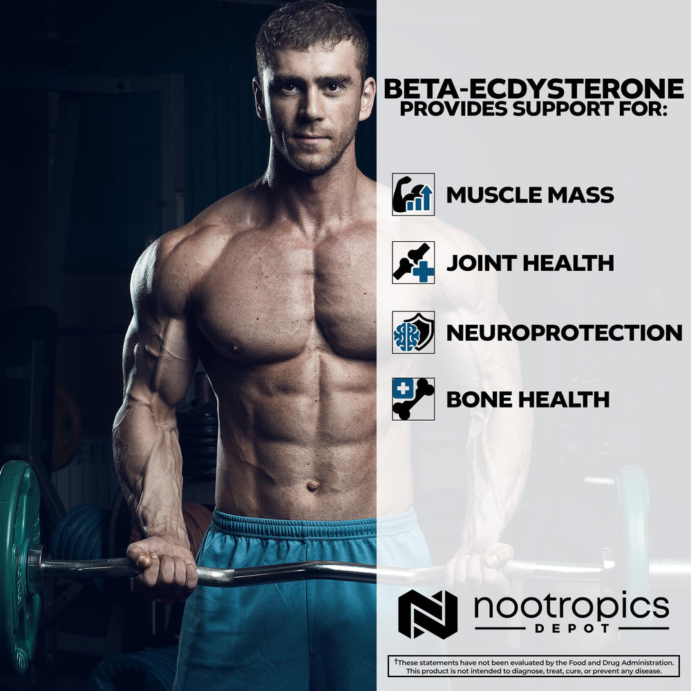 Nootropics Depot bottle beside dosage card for scheduling