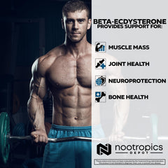Nootropics Depot bottle beside dosage card for scheduling