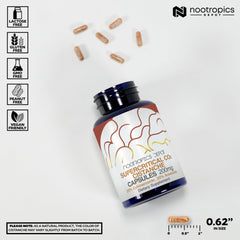 Close-up of Cistanche capsules showing 20% Echinacoside and 20% Verbascoside