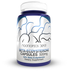 Nootropics Depot Cyanotis arachnoidea extract capsules plant-based phytoecdysteroid