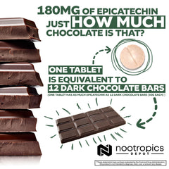 Epicatechin tablets promoting energy, focus, and cognitive performance