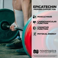 Green Tea Extract ingredient pictured with Epicatechin tablets