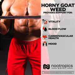 Nootropics Depot bottle label detail showcasing ingredients and usage information.