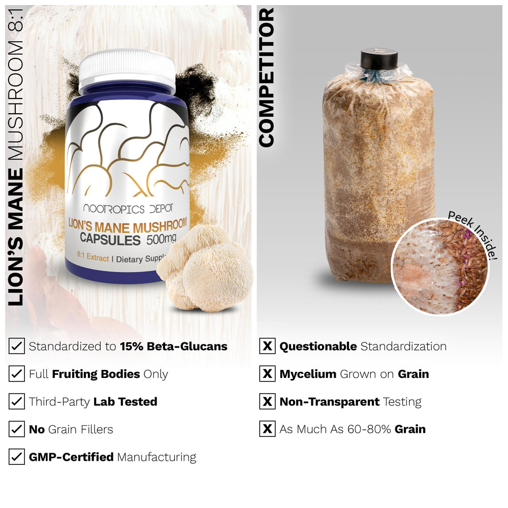 Hericium erinaceus (Lion's Mane) mushroom illustration