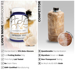 Hericium erinaceus (Lion's Mane) mushroom illustration