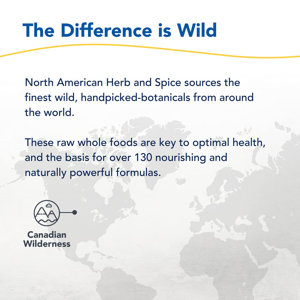 Ingredients label close-up on Chaga Black powder packaging