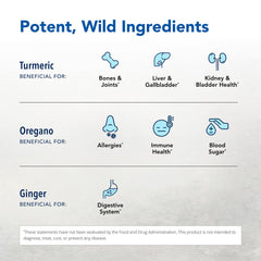 Close-up of Turmeric Power-Plus Gels soft gels capsules