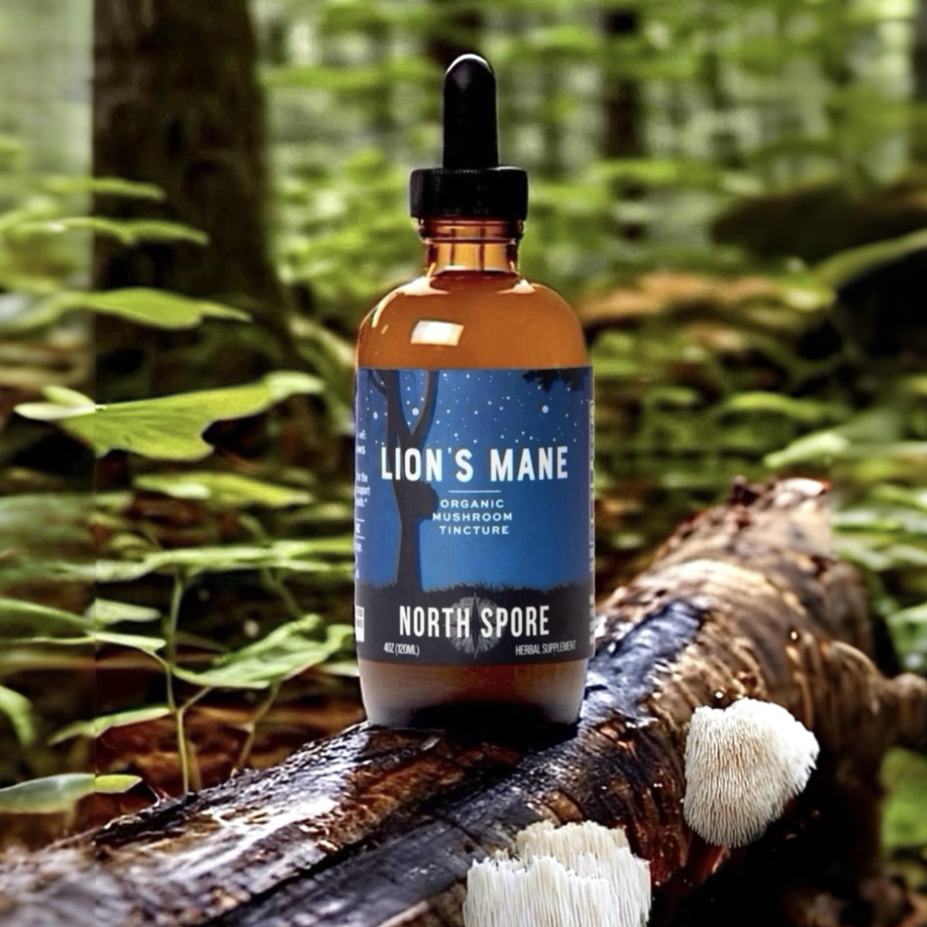 Dropper dispensing Lion's Mane tincture