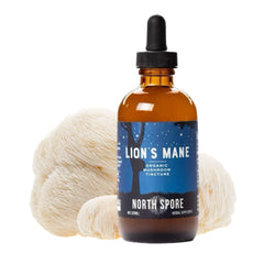 Close-up of label on North Spore Lion's Mane tincture bottle