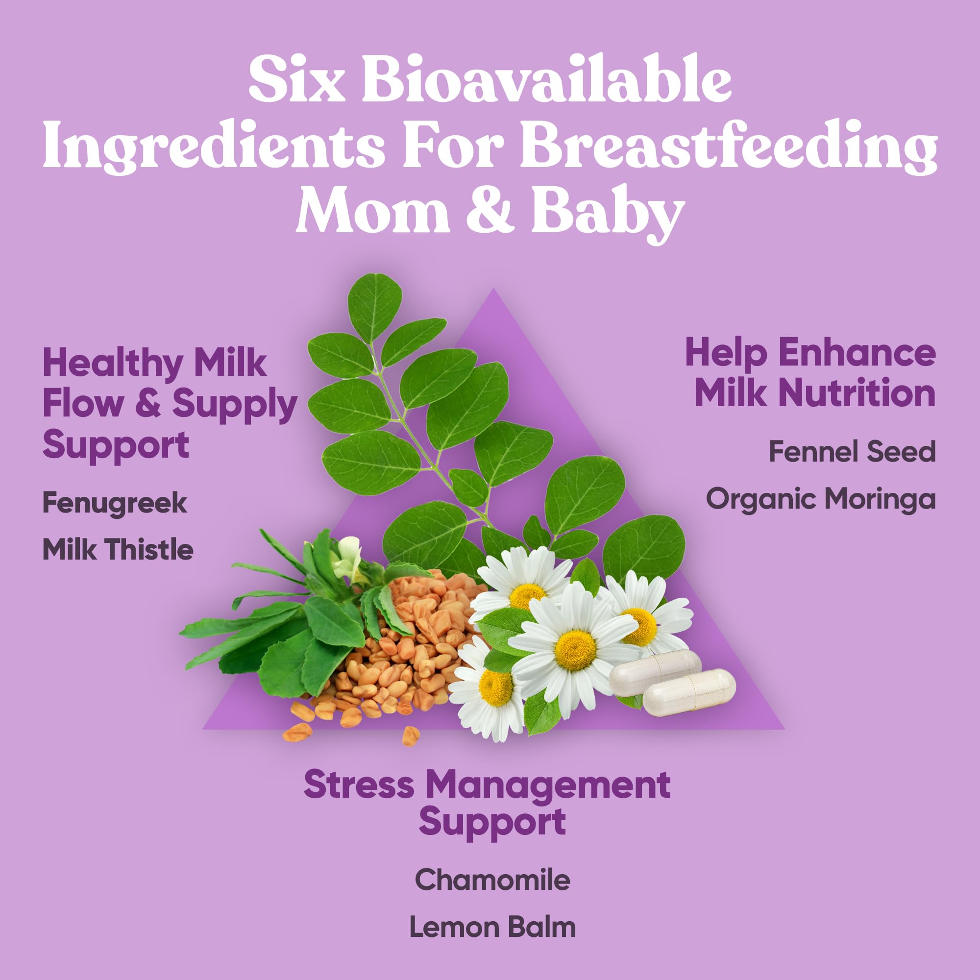 Chamomile and lemon balm leaves for calming support