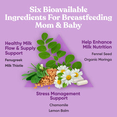Chamomile and lemon balm leaves for calming support