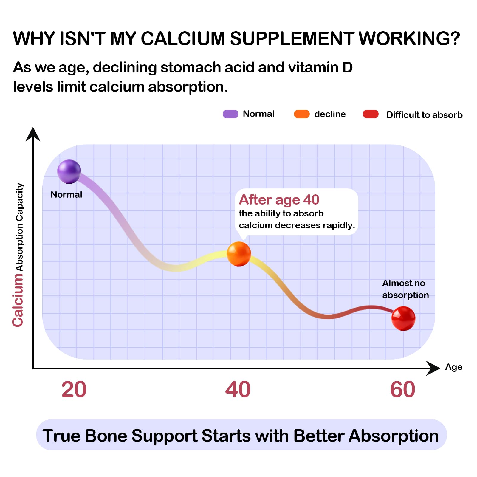Graphic illustrating enhanced calcium absorption with dicalcium malate, D3, K2 and magnesium