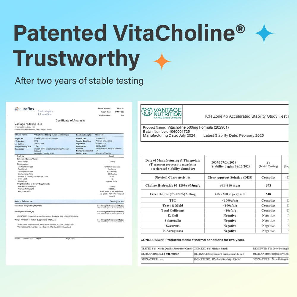 Novafun Choline 500mg bottle with nutrition facts