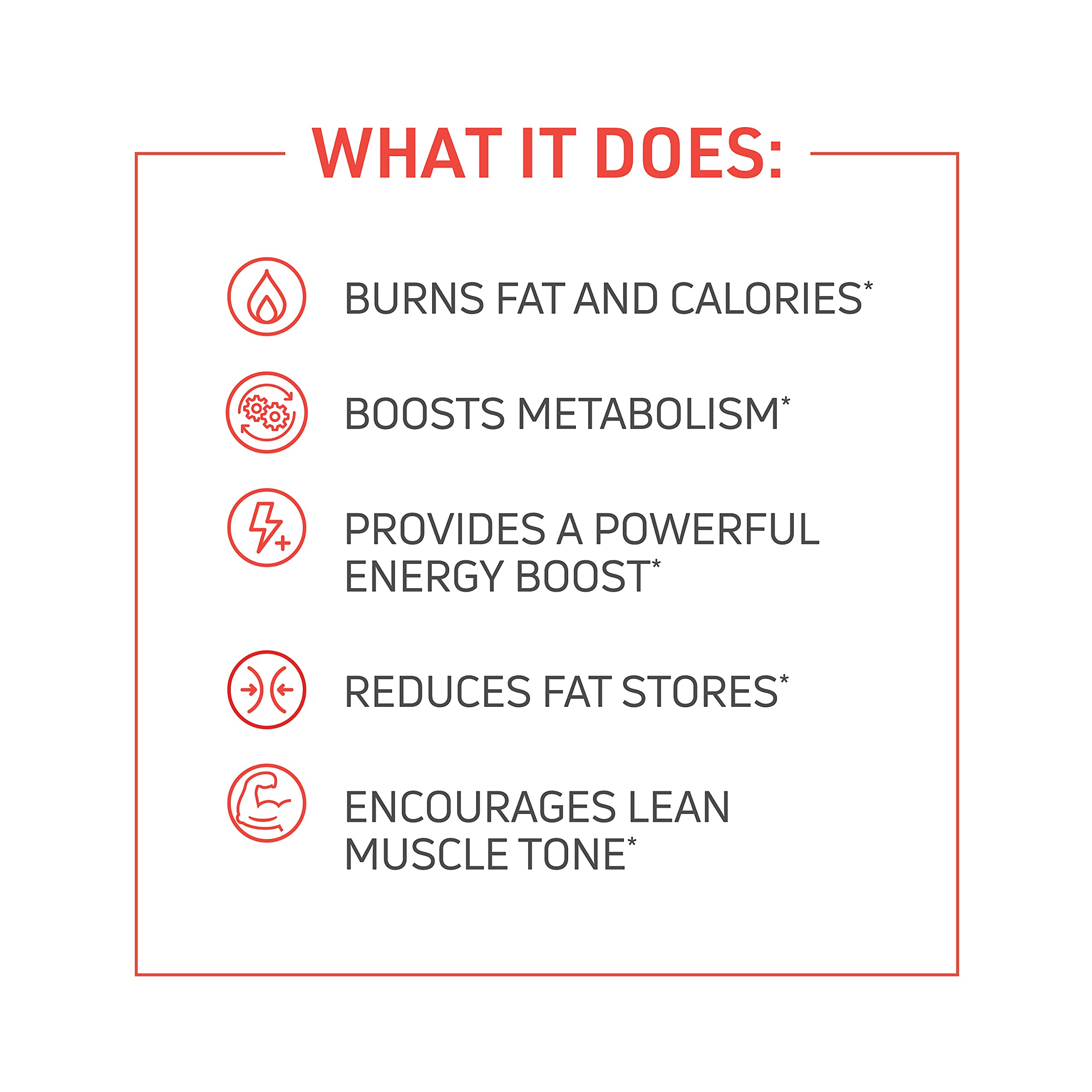 Novex Biotech ThermoDyne bottle back—ingredient highlights and serving directions