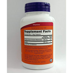 Choline and Inositol 500mg capsules close-up