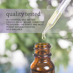 Steam distillation process imagery for cinnamon cassia oil