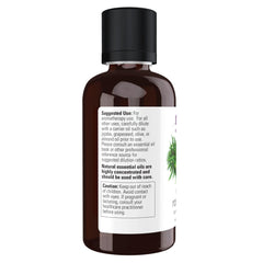 Steam distillation process for rosemary essential oil