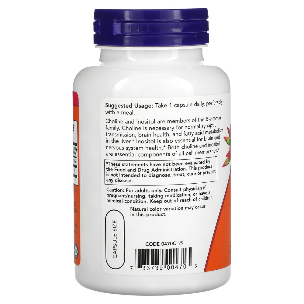 Nervous system health concept with Now Foods Choline & Inositol 500 mg
