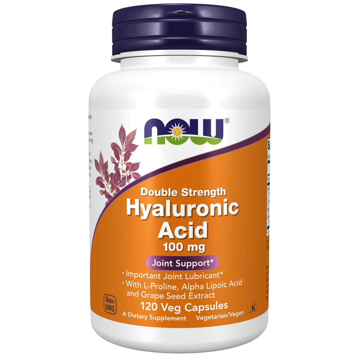 NOW Foods Hyaluronic Acid 100 mg veggie capsule bottle front view