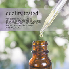 Steam distillation process for lavender oil
