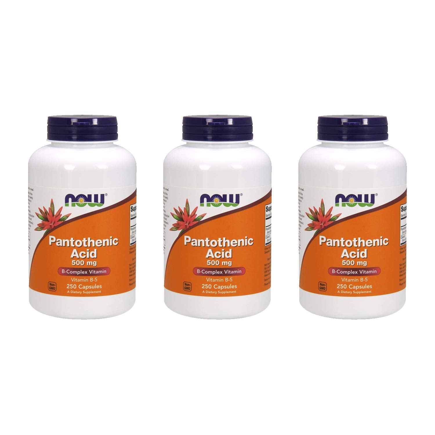 NOW Foods Pantothenic Acid 500 mg bottle and capsules illustrating energy metabolism support and biosynthesis.