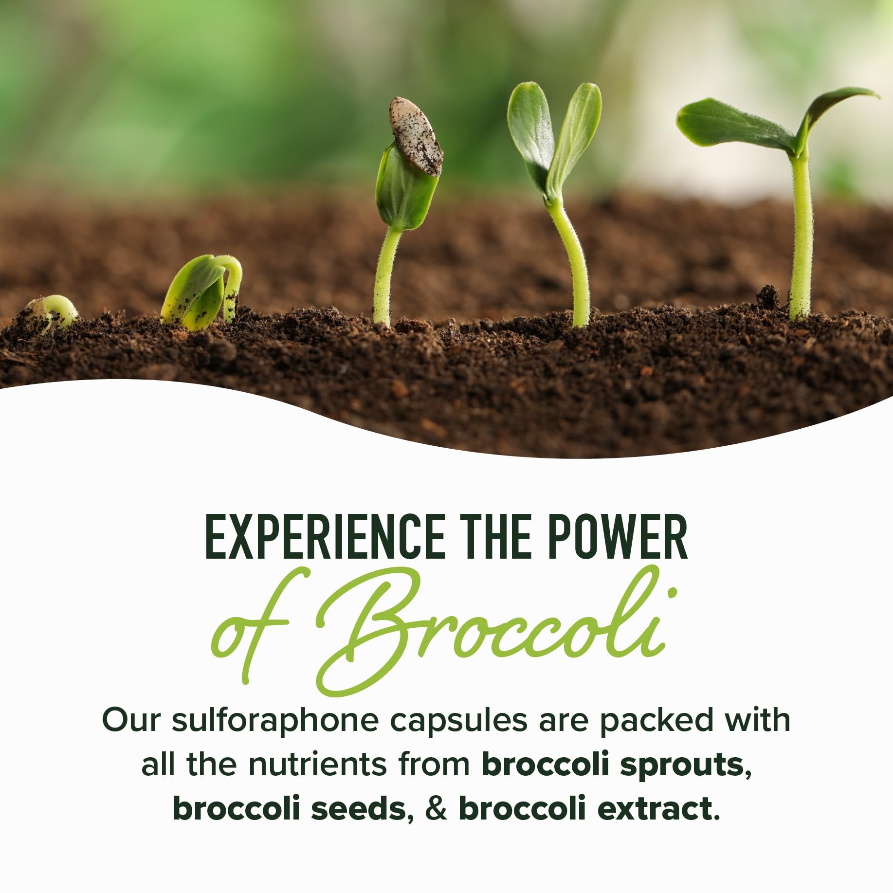 NRF2 activation and protective genes concept