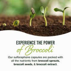 NRF2 activation and protective genes concept