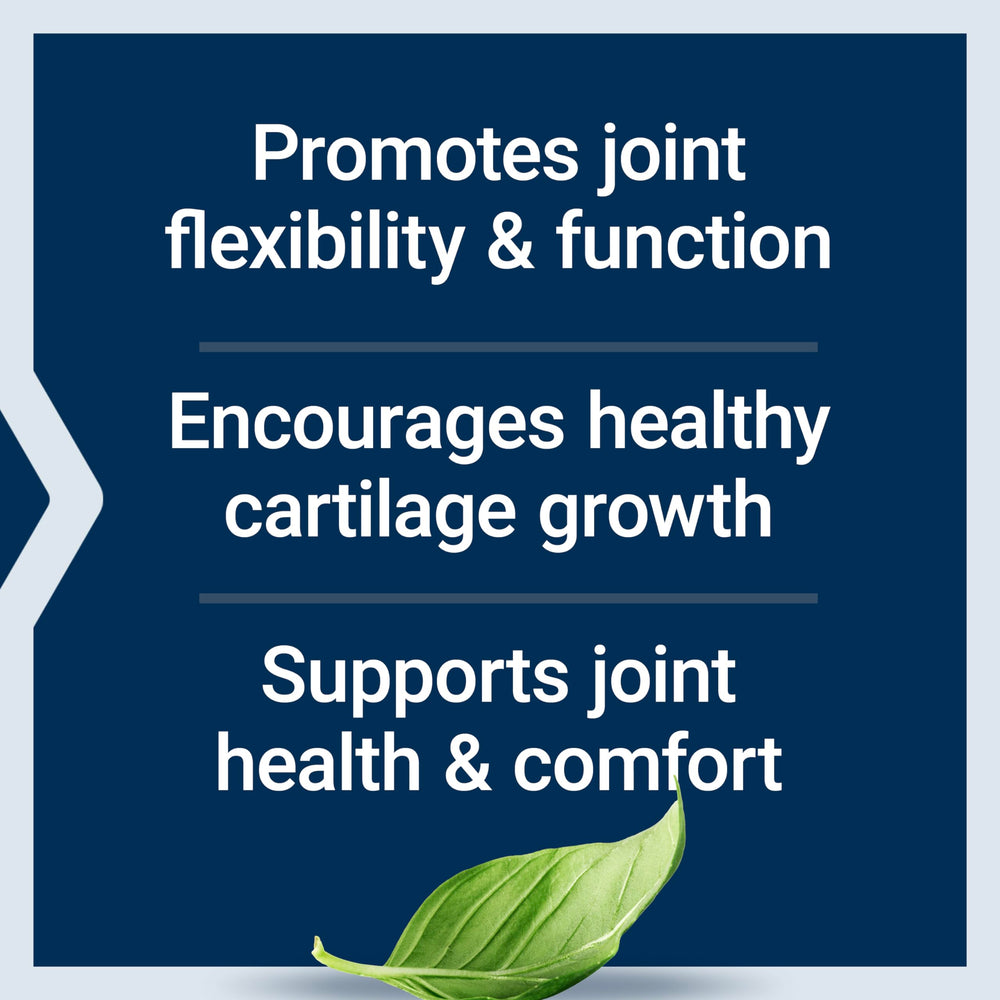 Joint flexibility and comfort with NT2 Collagen