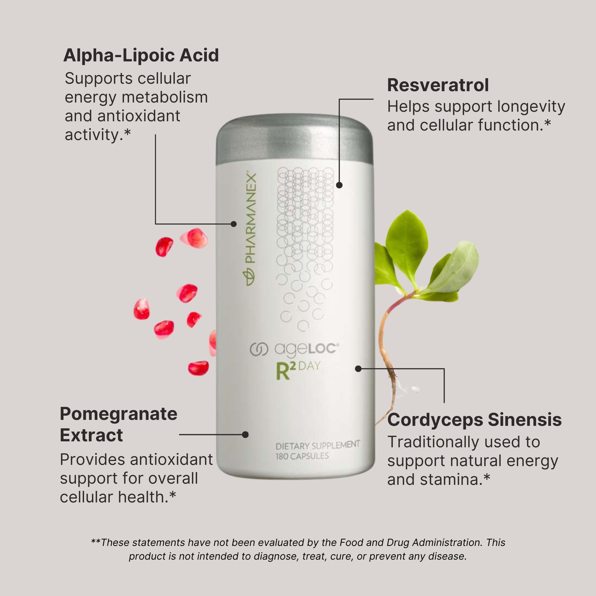Graphic illustrating cellular purification and vitality