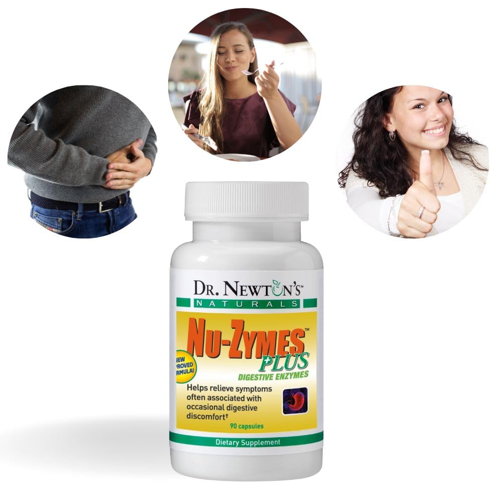 Enzymes listed: amylase, cellulase, lactase, lipase, protease