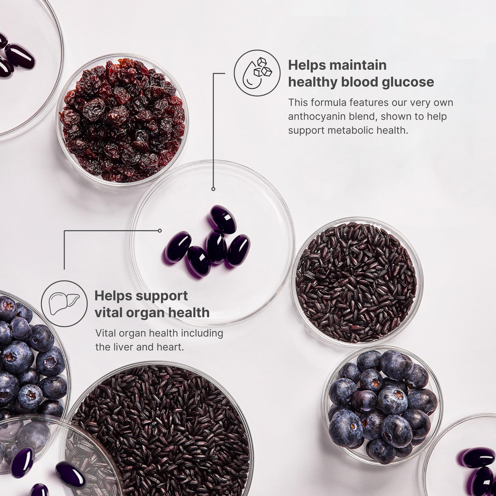 Nutrient-rich black rice featured in ageLOC Meta blend