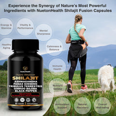 Shilajit Fusion capsules with Ashwagandha and Ginseng imagery