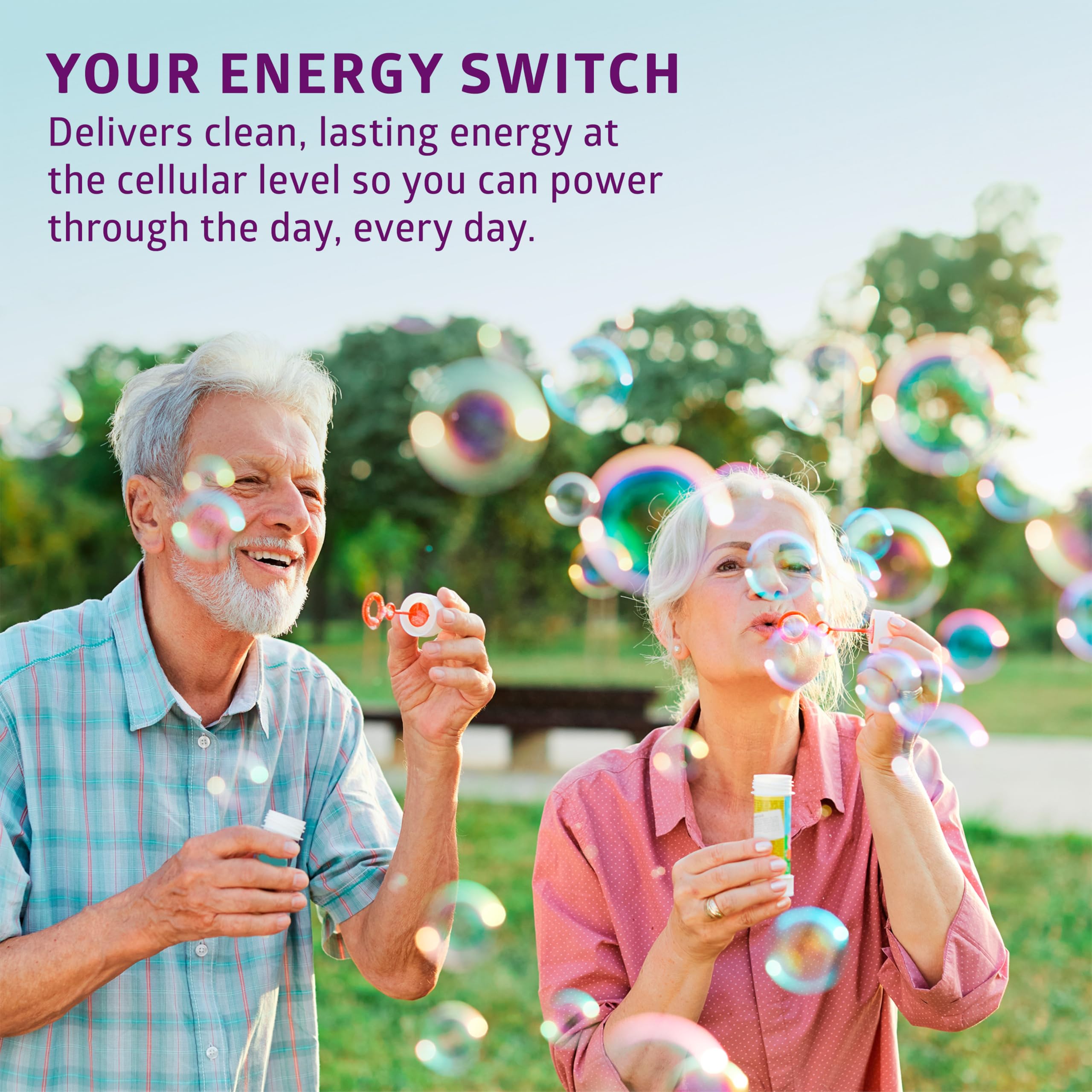 Nervous system and gut health benefits highlighted by the product