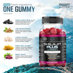 Shilajit Plus Gummies bottle - side view