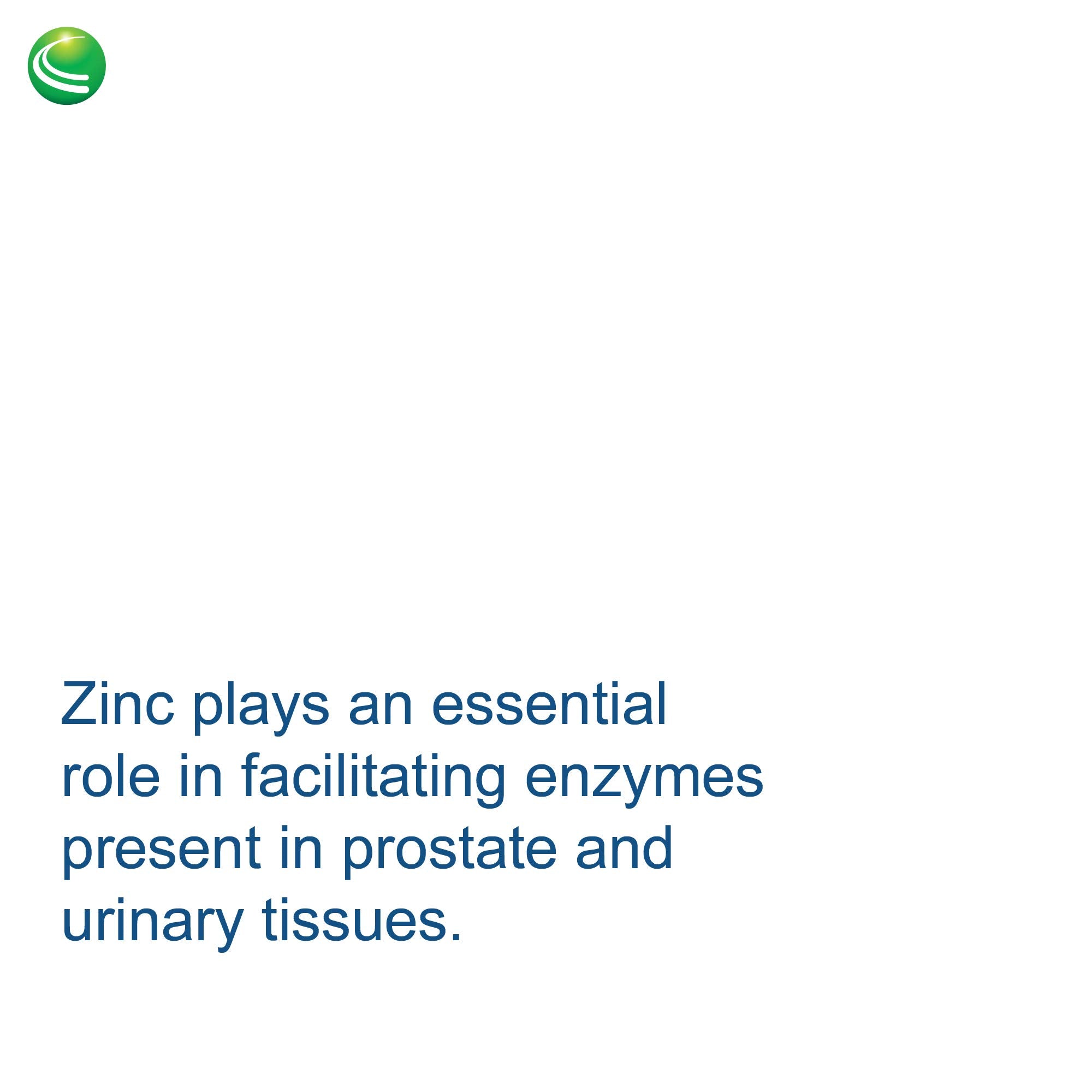 Zinc and beta-sitosterol in BioProstate