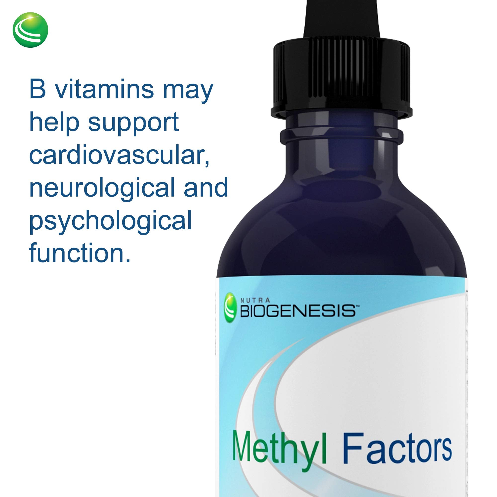 2 fl oz bottle size of Nutra Biogenesis Methyl Factors