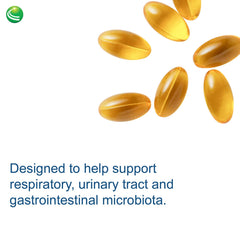 Oregano plant and softgels in a wellness setting