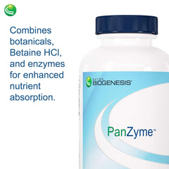 Healthy digestion and energy support concept