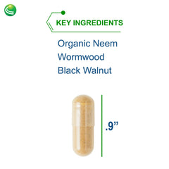 Black walnut and neem components of ParaBiotic Plus