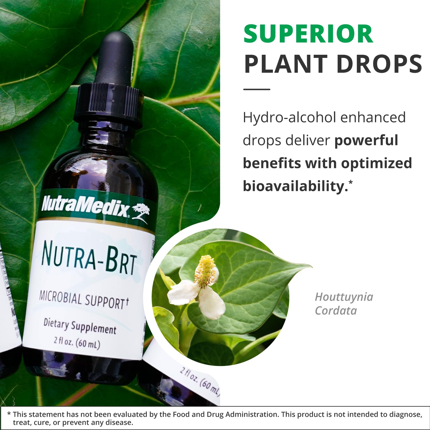 Nutra-BRT herbal formula synergistic blend