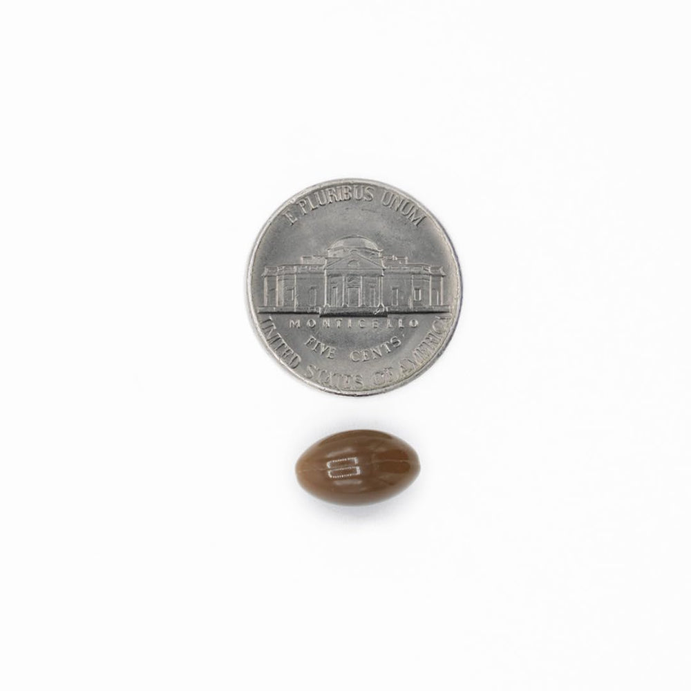 Close-up of label on Nutra Nutrition Ginkgo Biloba 80 mg bottle