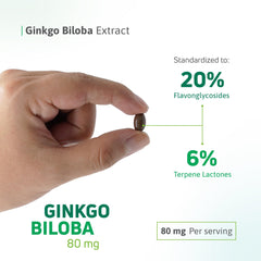 Non-GMO and gluten-free symbols on Nutra Nutrition Ginkgo Biloba 80 mg
