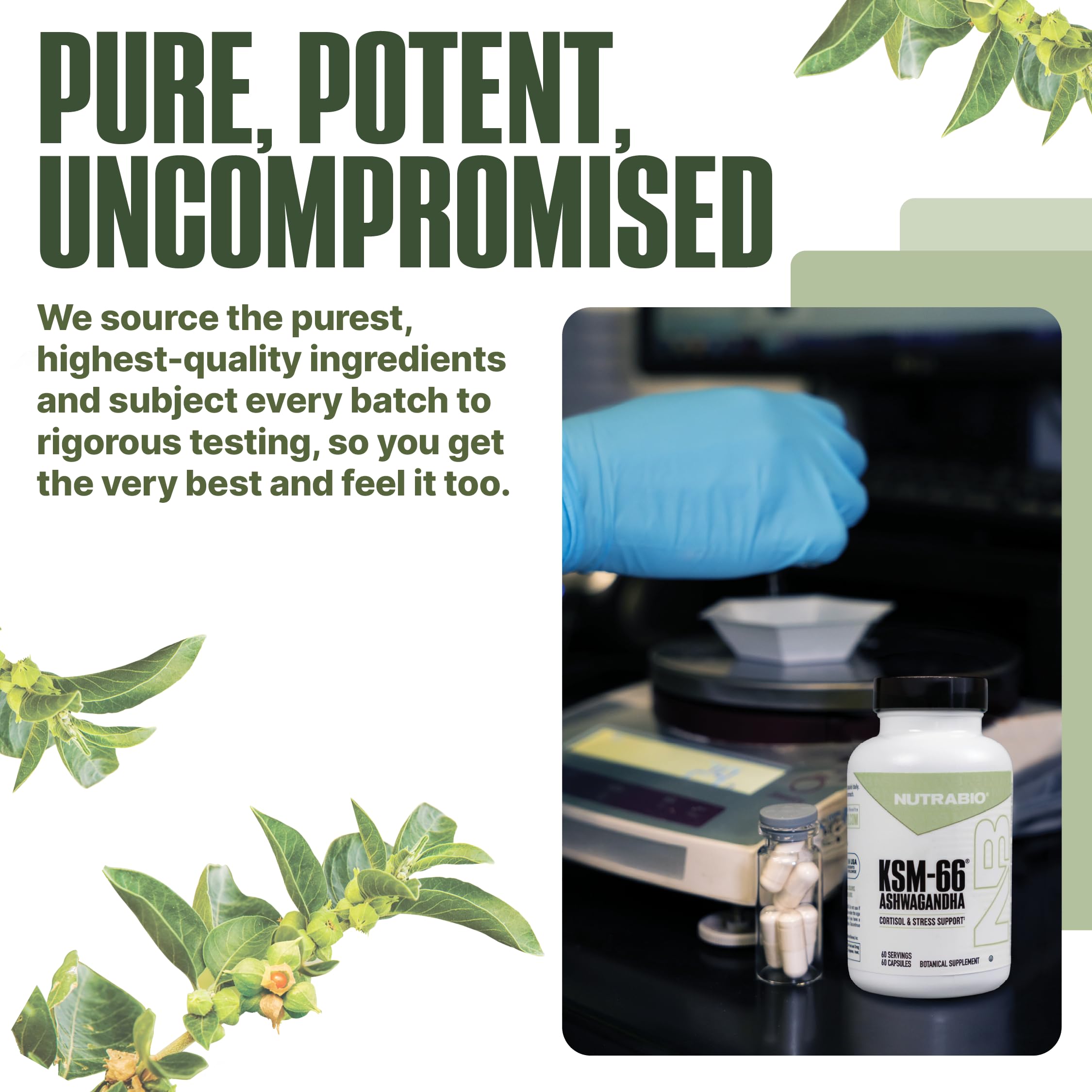 Herbal supplement capsules in bottle on blue background