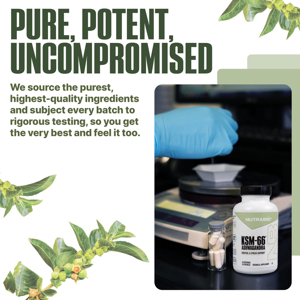 Herbal supplement capsules in bottle on blue background