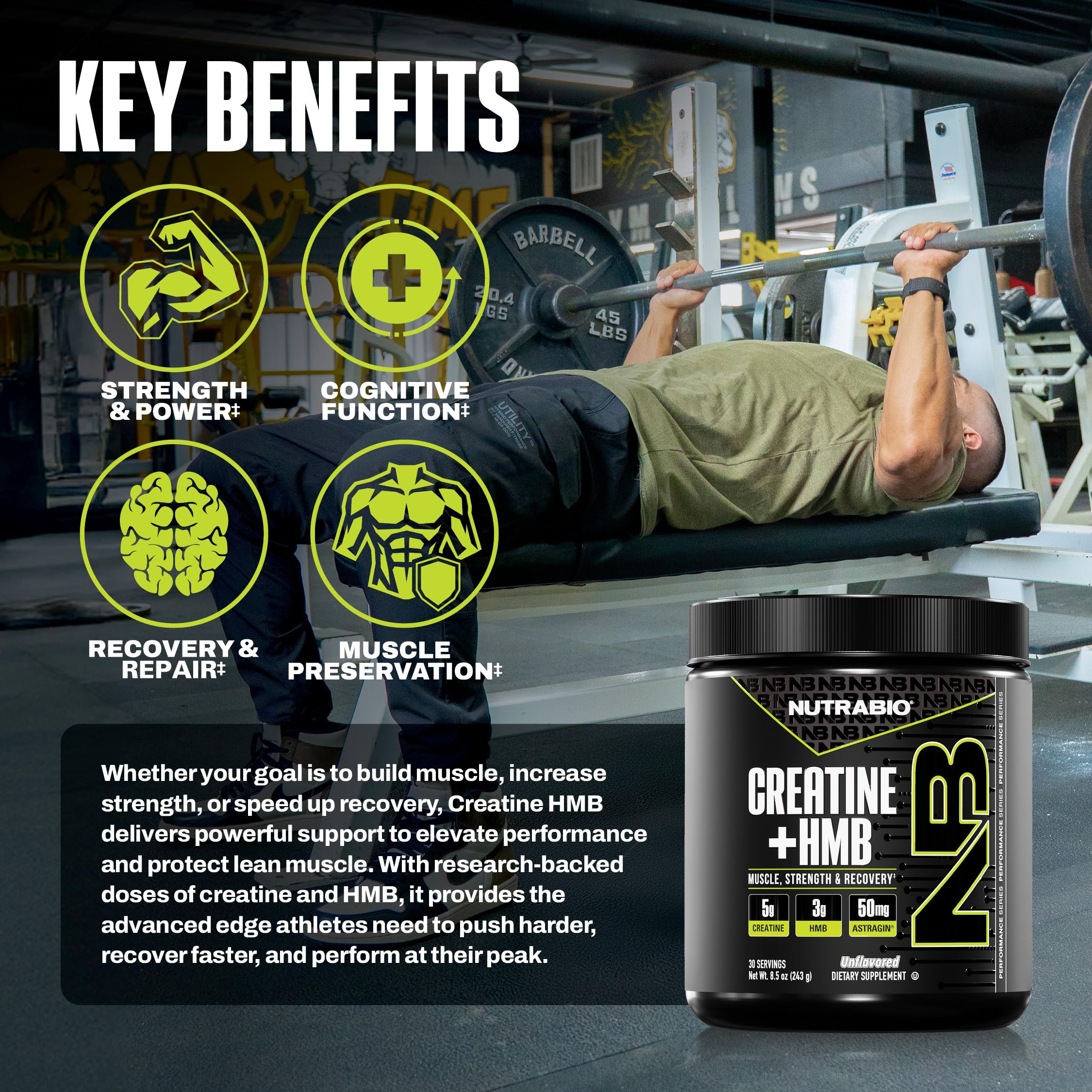 Graphic illustrating Creatine Monohydrate and HMB ingredients