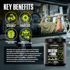 Graphic illustrating Creatine Monohydrate and HMB ingredients