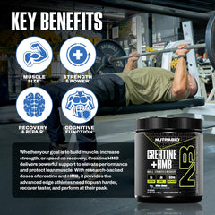 NutraBio Creatine + HMB scoop beside the jar for workouts.