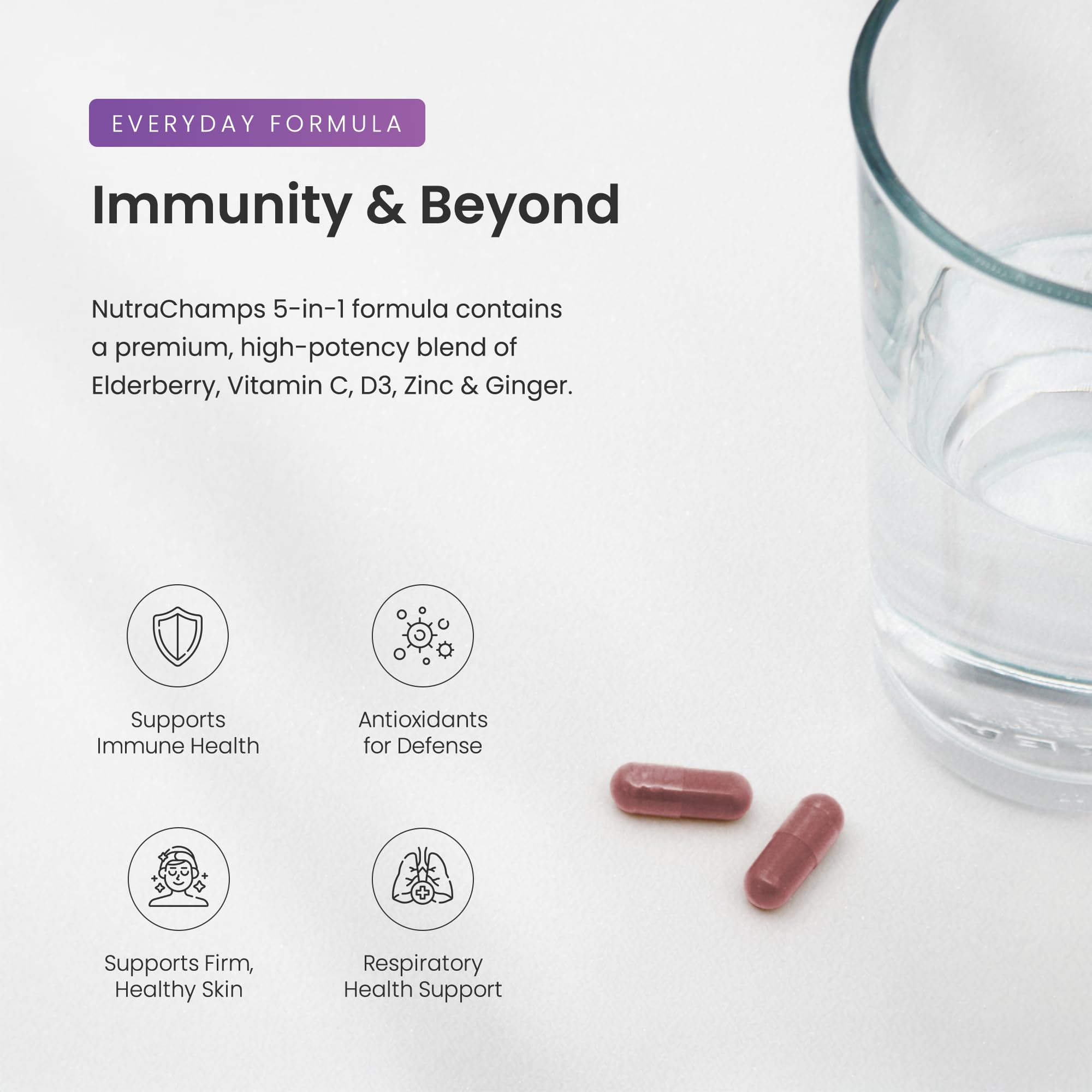 10,000mg elderberry extract illustration