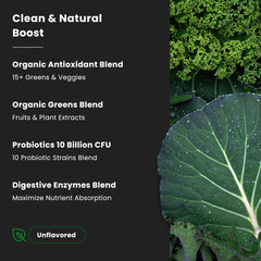 Glass of prepared green smoothie using Super Greens